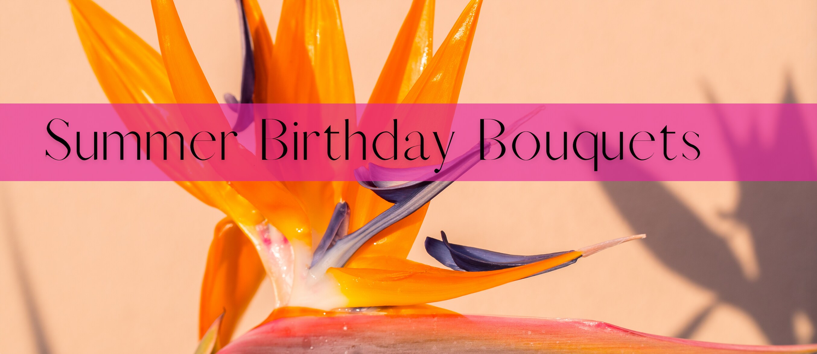 bday